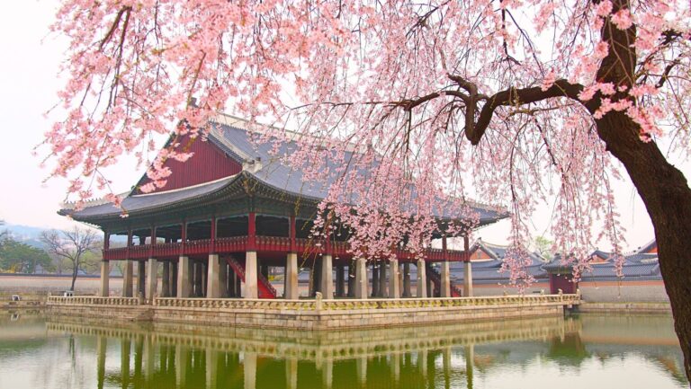 Rekomendasi Berbagai Tur Sehari Terbaik di Seoul yang bisa dicoba di Tahun 2025