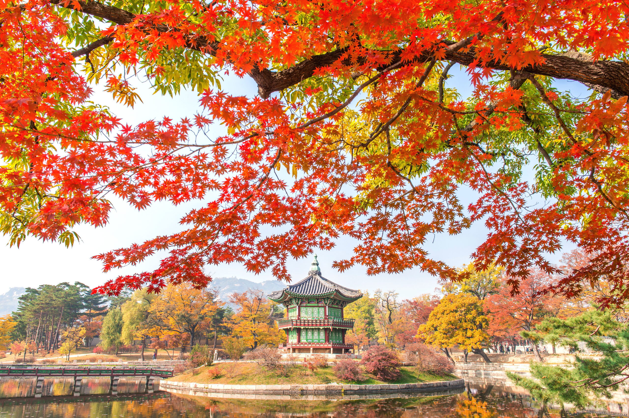 Wisata Korea musim Autumn